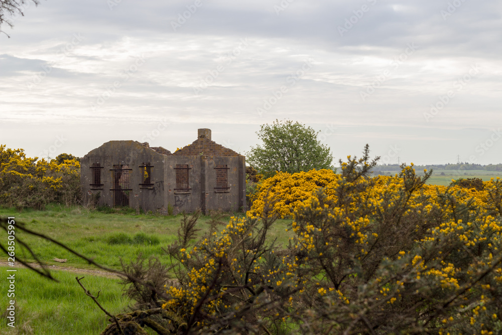 Ruins in Scotstown Moor Path in Aberdeen, Scotland