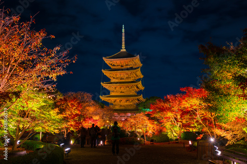京都　東寺の紅葉　夜景　