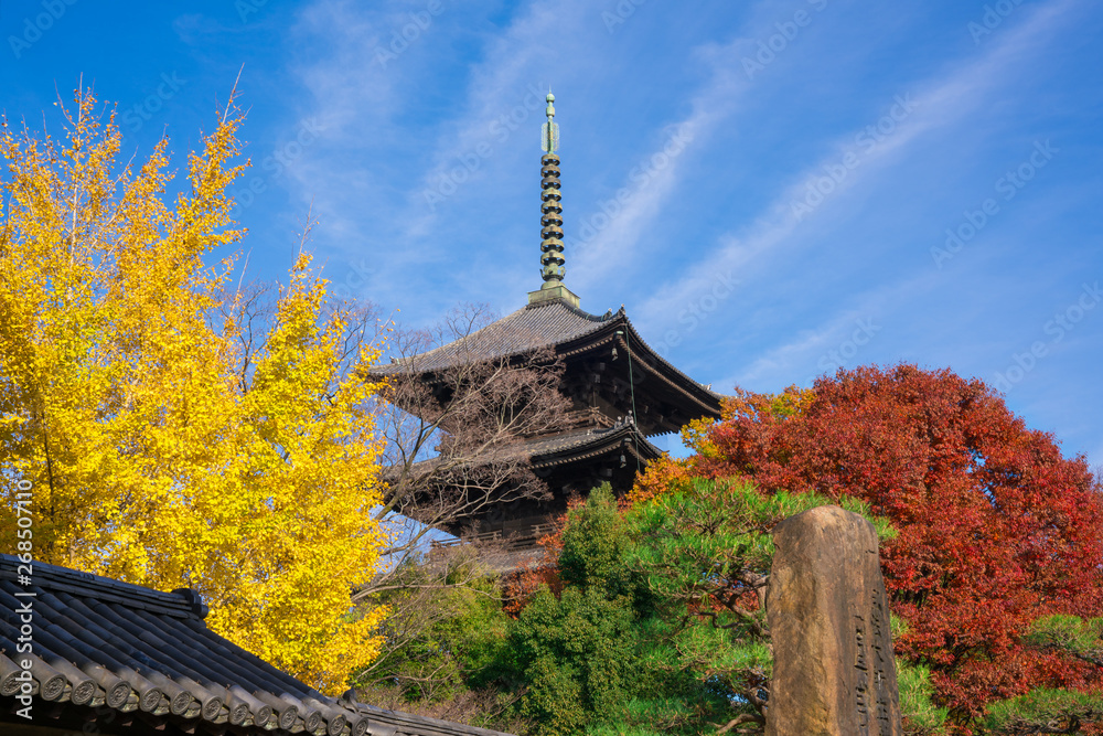 京都　東寺　秋