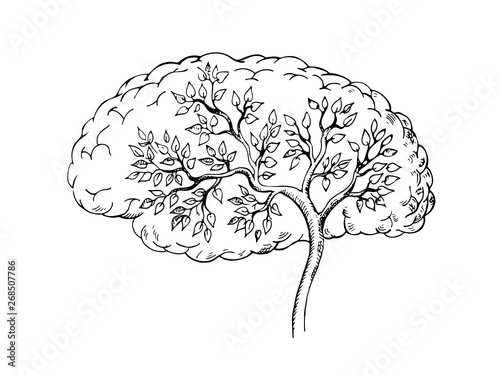 Graphic sketch of human brain with tree inside. Beautiful element for your design.