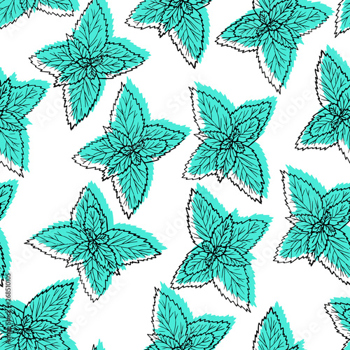 Seamless pattern with leaves mint. Hand drawn black line plant on white background with green.