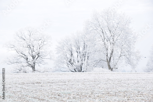 Natur 