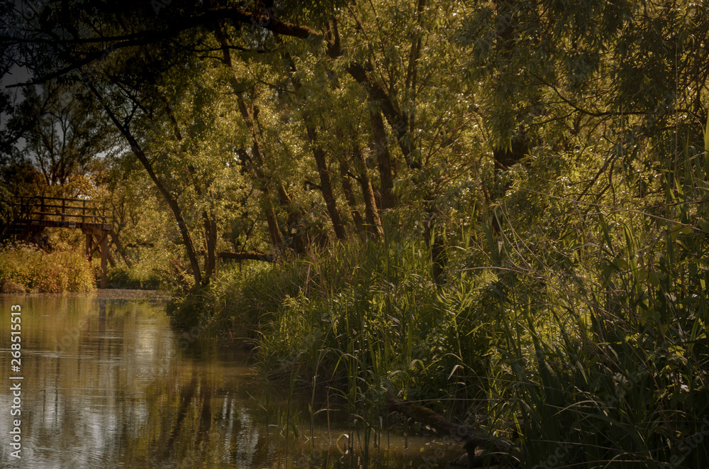 Biesbosch Biesbosch