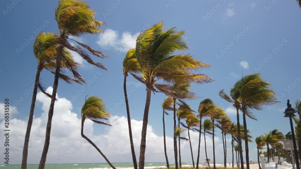 america,atlantic,beach,beautiful,blue,broward,clouds,coast,coastal,coastline,county,deserted,destination,empty,fl,florida,fort,ft,fun,holiday,lauderdale,leisure,nature,ocean,palm,panoramic,paradise,pe
