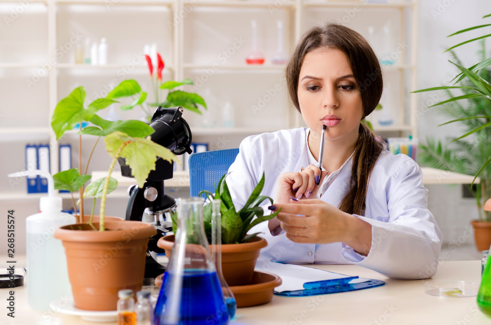 Young beautiful biotechnology chemist working in the lab Young beautiful biotechnology chemist working in the lab