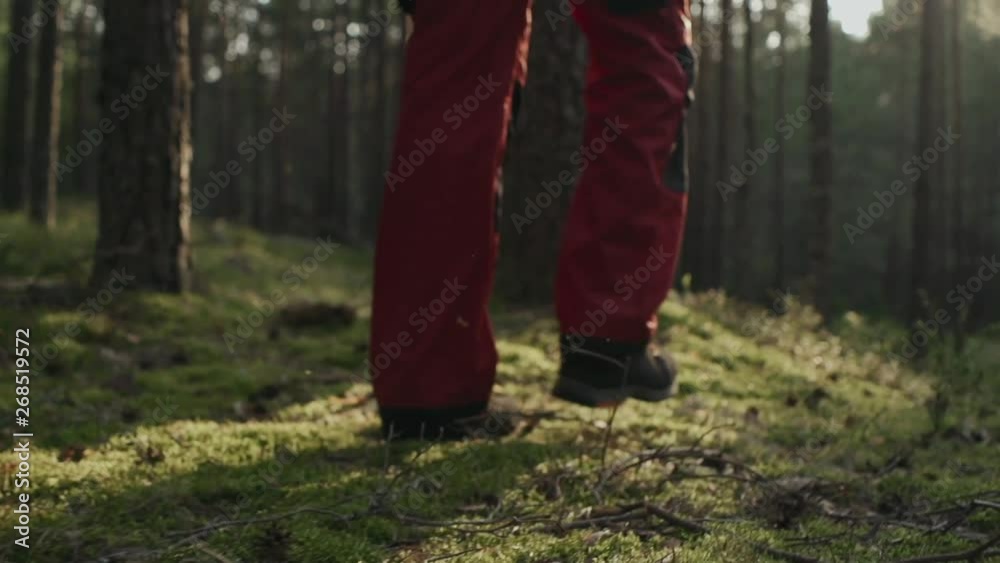 slow motion close-up of shoes a man walks through the forest slow motion close-up of shoes a man walks through the forest