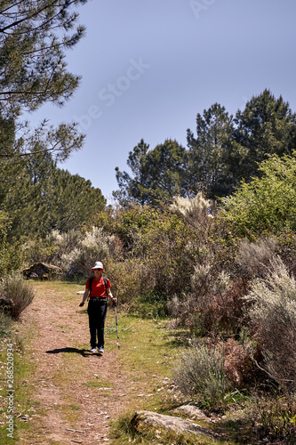 Woman doing trekking in nature