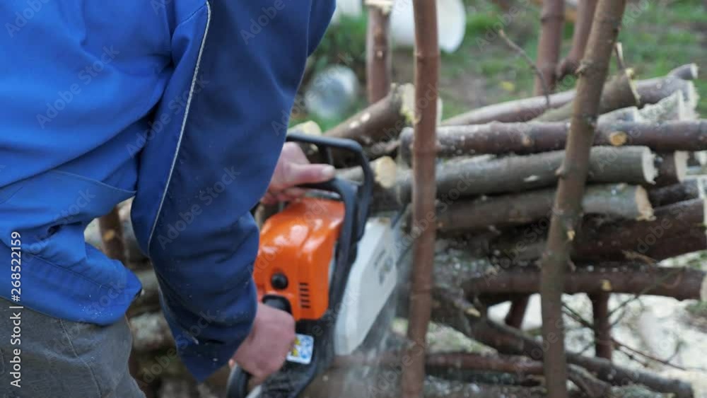 unknown man logger sawing trees with chainsaw in the forest, back view unknown man logger sawing trees with chainsaw in the forest, back view