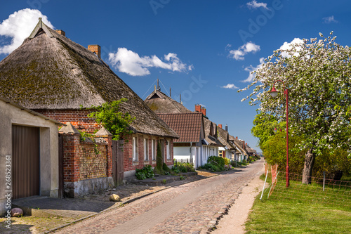 Neu Reddevitz auf Rügen Frühling entzerrt