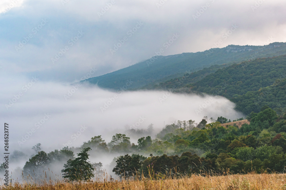 rolling fog