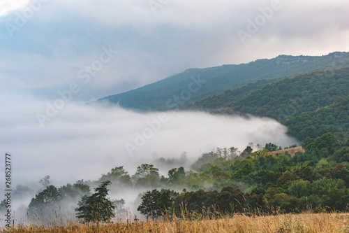 rolling fog