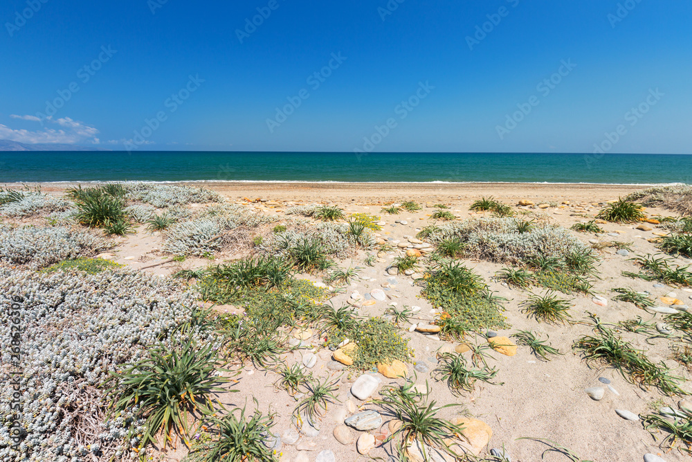 Blossom flowers at Maleme beach on Crete, Greece Blossom flowers at Maleme beach on Crete, Greece