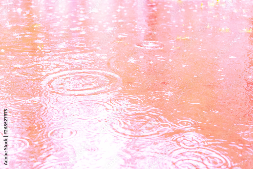 Raindrops on a puddle on a rainy day. Soft pink tone.
