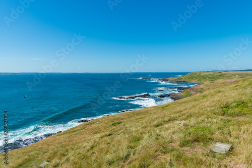 Wallpaper Mural Natural and animals in Phillip Island Torontodigital.ca