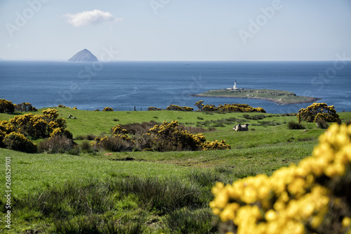 Alisa Craig mountain from grassy hill in Kildonan, Isle of Arran, Scotland. photo