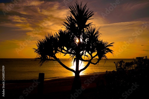 沖縄　サンセット