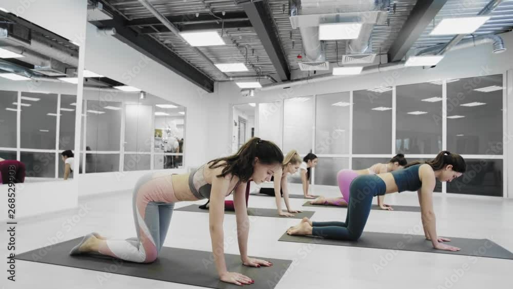 Yoga class group of women exercising healthy lifestyle in fitness studio yoga downward dog chaturanga poses