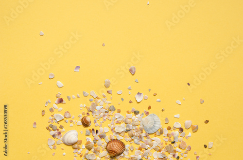 Sea shells pattern on yellow paper background. Summer concept. Flat lay  top view - Image