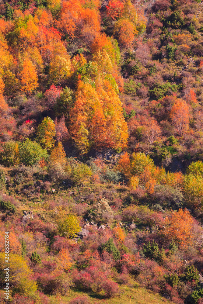 beautiful autumn landscape in Daryal gorge, autumn colors in the mountains of Georgia
