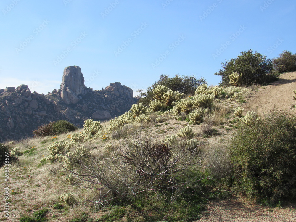 View of Tom's Thumb seen from the trail in the McDowell Sonoran mountain preserve with blue sky in the background