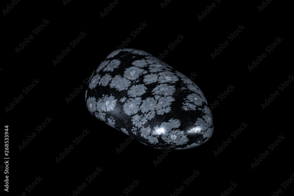 Snowflake Obsidian Stone on Black Snowflake Obsidian Stone on Black