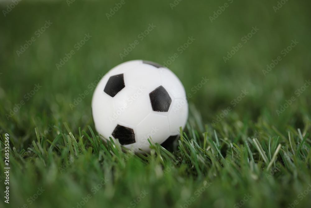 Fototapeta premium soccer ball on grass