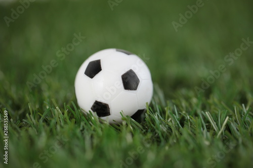 soccer ball on grass © Elroi