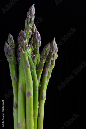 Vertical photo of fresh and green asparagus with water drops on them. The background is totally black. With a lot of space for text. Asparagus officinalis, garden asparagus or sparrow grass.