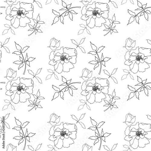 Peony tree flower seamless pattern. Hand drawn doodle background. Flower black thin outline design element stock vector illustration for web, for print © danylyukk