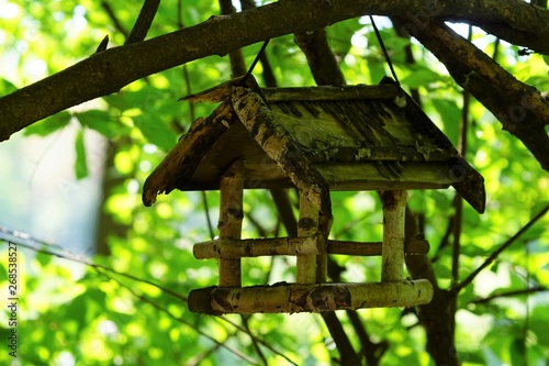 wooden bird table hanging on a tree branch in the forest on a sunny day. bird house on a limb of a tree with green leaves © Michis-Fotos