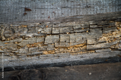 Background of old peeled cracked wood, stacked old boards