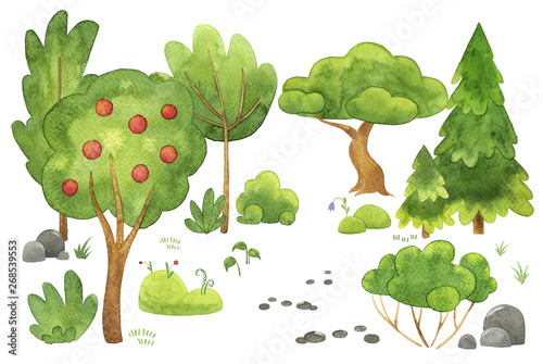 Hand drawn watercolor illustration. Set of various trees and bushes. Green plants isolated on white. landscape