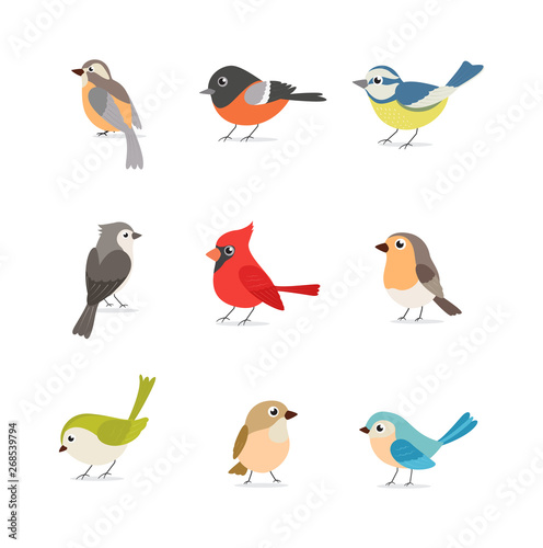 Set of colorful birds isolated on white background 