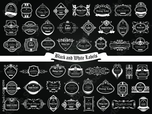 Large set of black white labels in vintage and retro style