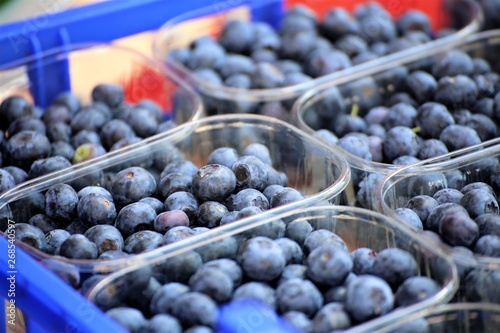 Wallpaper Mural blueberries in box Torontodigital.ca