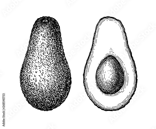 Ink sketch of avocado.