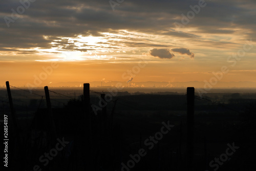 Blick vom Weinberg in Heppenheim