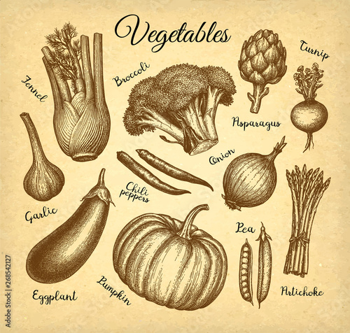 Ink sketch of vegetables 