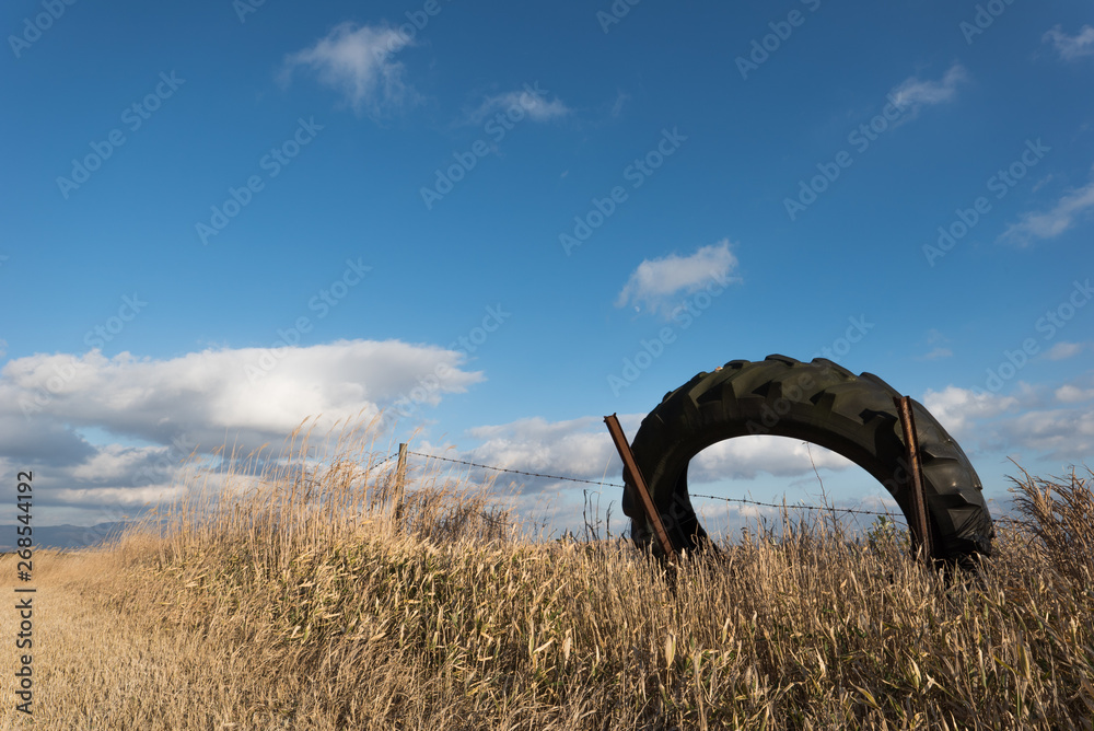 Fototapeta premium 秋の草原