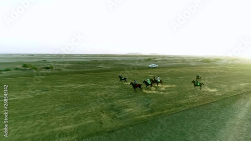 Horses running in the Polo field during a match photo