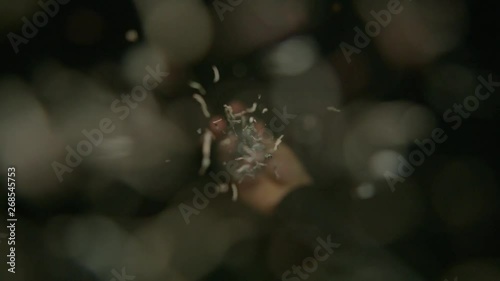 Black Tea shot in super slow motion with tea leaves falling towards camera. Black Backgorund. Alexa Plus Camera