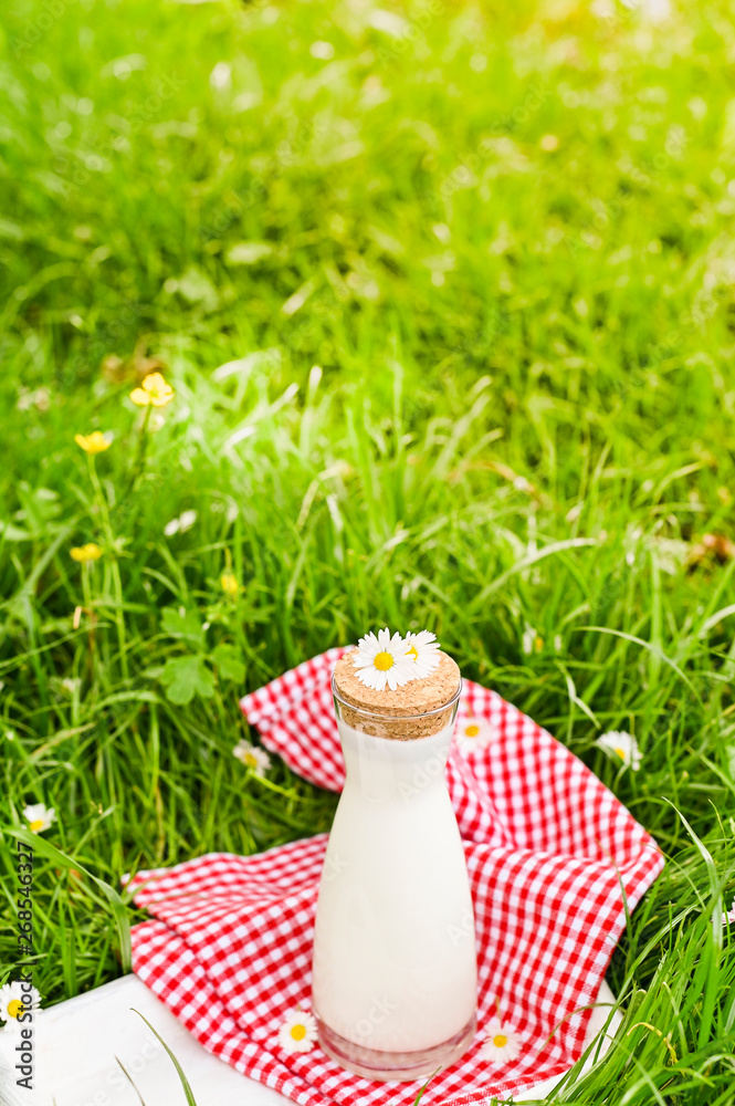 A bottle of milk on the green grass. Environmentally friendly product for a healthy diet. Copy space, Sunlight and photo effects. A bottle of milk on the green grass. Environmentally friendly product for a healthy diet. Copy space, Sunlight and photo effects.