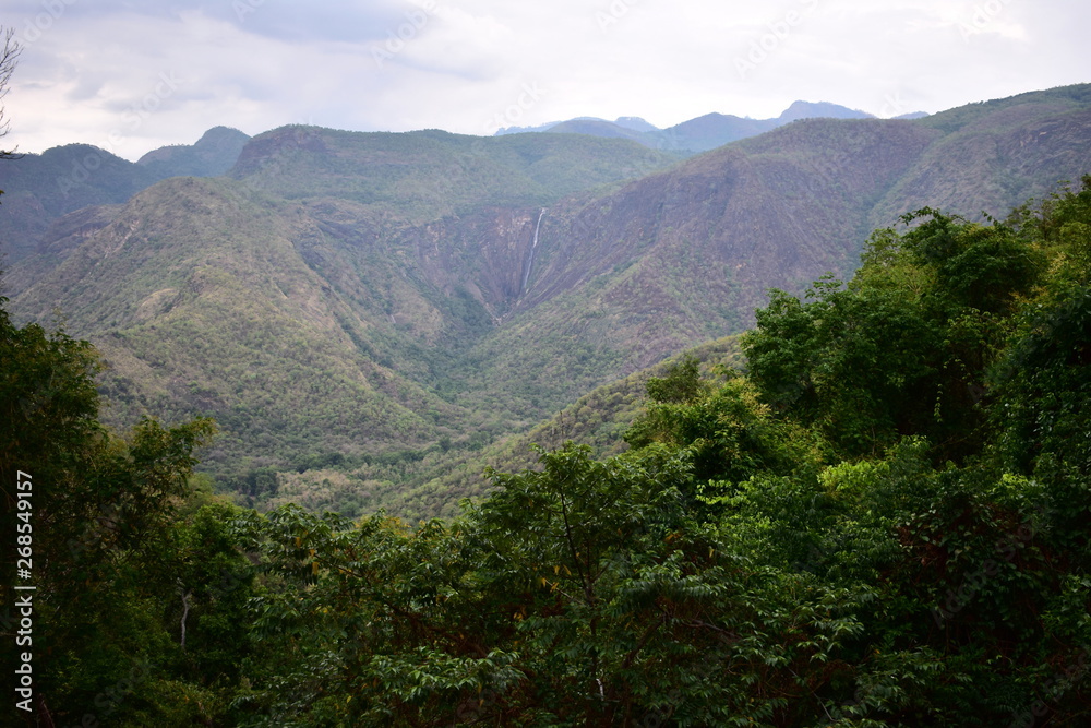 View of Rat Tail Falls in Kodaikanal Hills