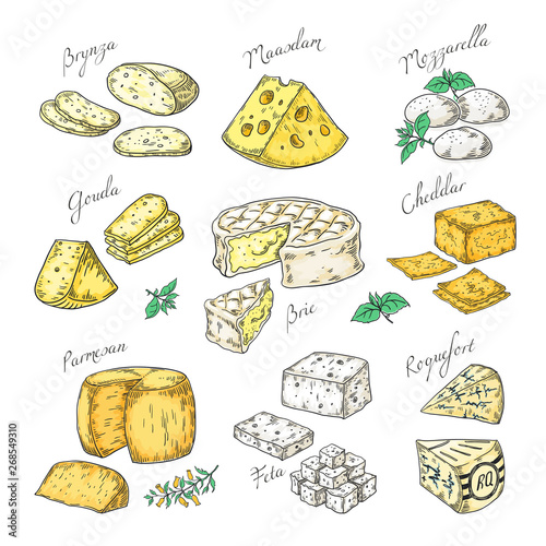 Hand drawn cheese. Doodle appetizers and food slices, different cheese types Parmesan, brie cheddar feta. Vector vintage sketch of snacks assorted