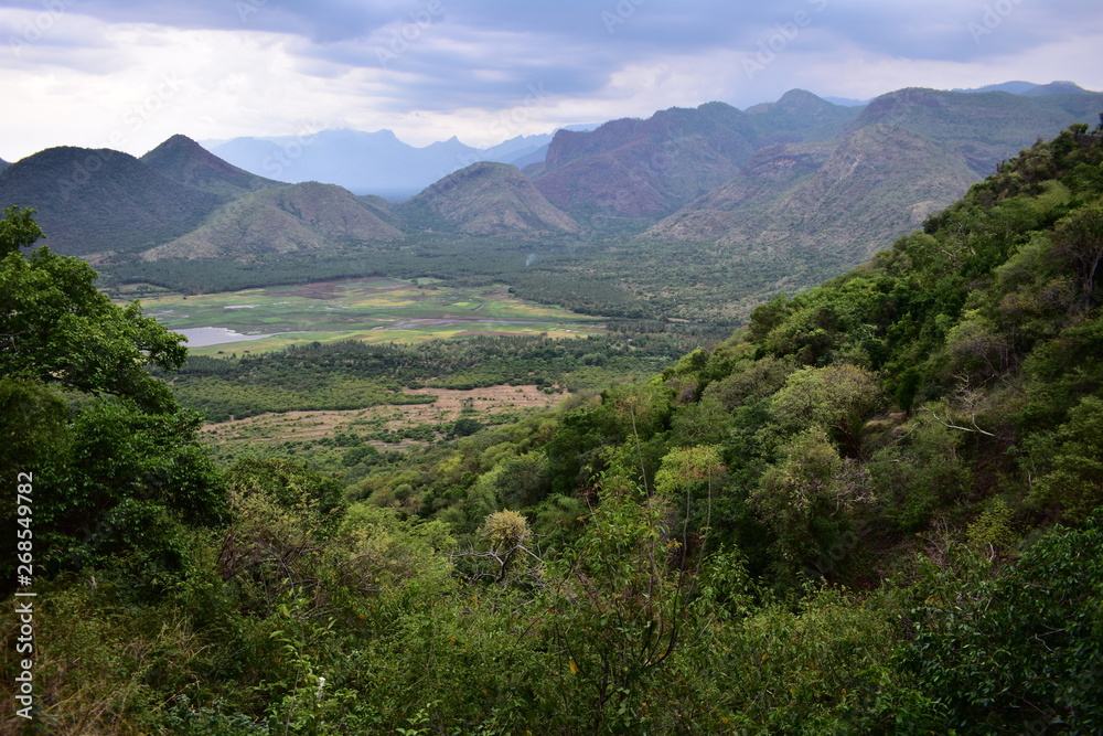 Fototapeta premium Green Valley View in Kodaikanal Hills