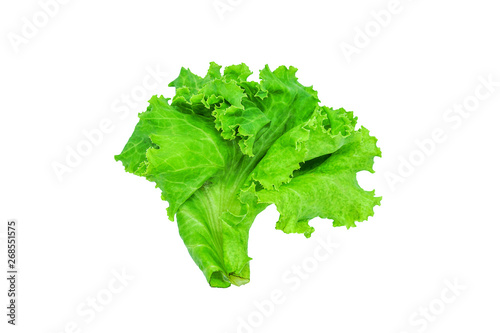 Fresh green lettuce, Salad leaf isolated on a white background