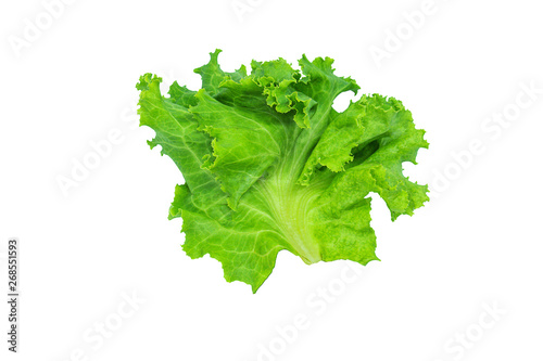 Fresh green lettuce, Salad leaf isolated on a white background