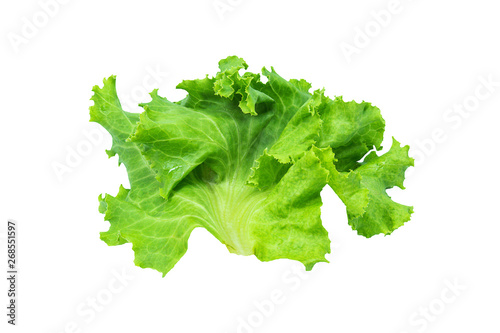 Fresh green lettuce, Salad leaf isolated on a white background