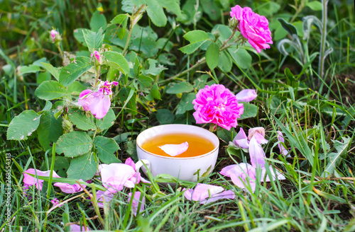 Tea in country style in summer garden in the village. Vintafe cup of green herbal tea and blooming pink roses in sunlight. photo