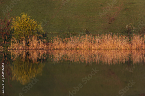 Sunny morning in the spring on the lake, reflection background